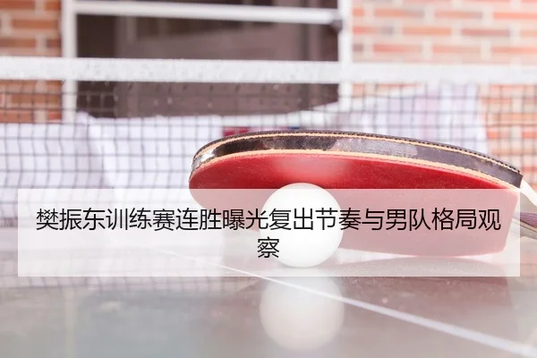 樊振东训练赛连胜曝光复出节奏与男队格局观察