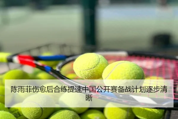 陈雨菲伤愈后合练提速中国公开赛备战计划逐步清晰