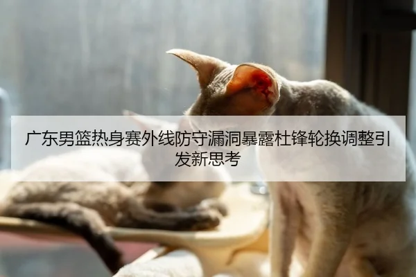 广东男篮热身赛外线防守漏洞暴露杜锋轮换调整引发新思考